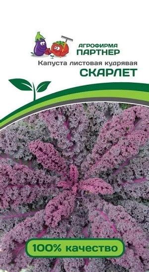 Купить "3044P Капуста листовая кудрявая СКАРЛЕТ 0,3 г " По 37 руб. - 🌷 ...