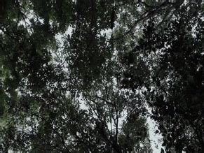 STELLA MARIS ISOLDI Nude AZNude