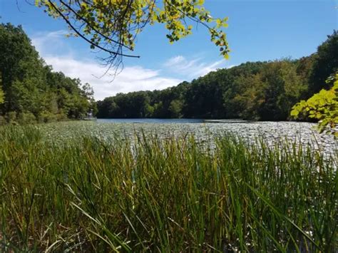 Best Hikes And Trails In Piney Run Park Alltrails