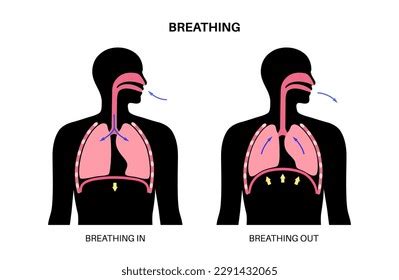 Breathing Process Concept Respiration System Scheme Stock Vector