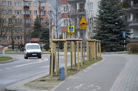 Stalowa Wola Ma By Jak Zielony Ogr D Co Roku B Dzie Podwajana Liczba