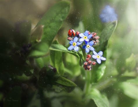 Manual Focus Lenses/Мануальные объективы 2024 | ВКонтакте