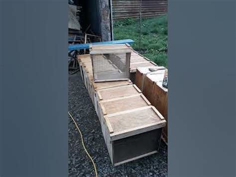 Ящики для пчелопакетов. БМВу среди категории - YouTube