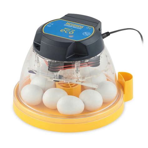 Incubatorbrooder Thermometer My Pet Chicken