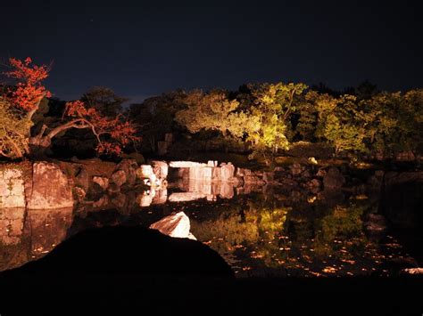 京都 二条城がライトアップFLOWERS BY NAKED 2019を観に行った感想 ルーム30