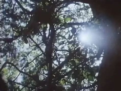 Rick Savage Porn Videos Porn Star Sex Scenes Xhamster