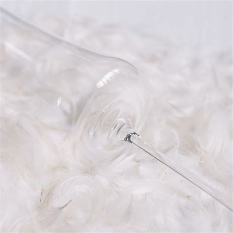 Nude Stem Zero Volcano Champagne Glass Perigold