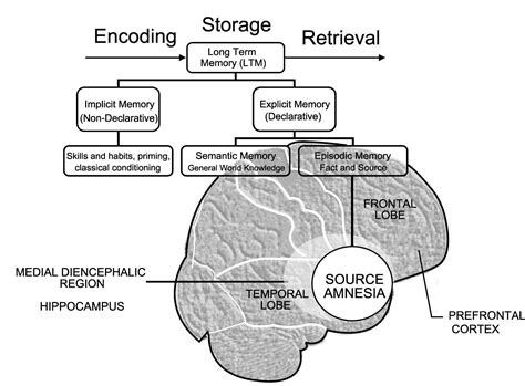 Source Amnesia Psychology Wiki Fandom Powered By Wikia
