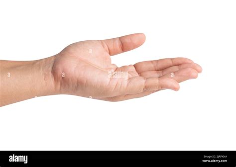 Hold Out Ones Hand And Open The Palm Of The Hand Isolated On White