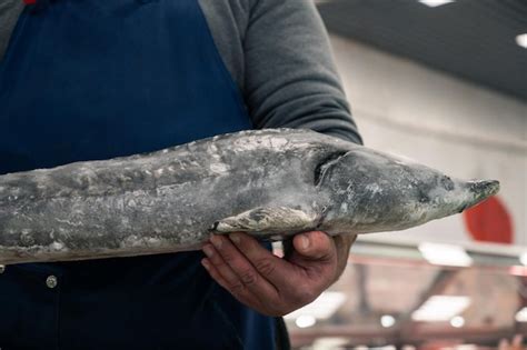 Premium Photo Midsection Of Man Holding Fish