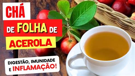 Chá De Acerola É Bom Para Quê - CHÁ da FOLHA DE ACEROLA para Desinflamar, Imunidade, Digestão ...