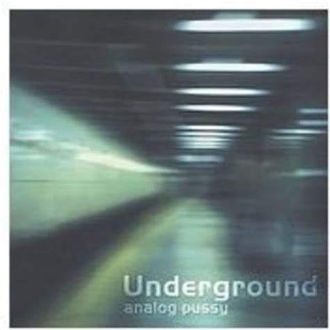 Analog Pussy Underground Vinyl Amazon Music