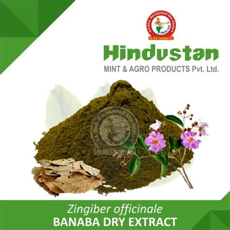Banaba Dry Extract Manufacturer Exporter India USA