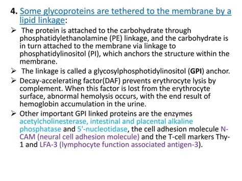 Glycoprotein PPT