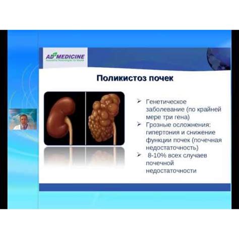 Нефро Комплекс (Nephro Complex) купить | AD Medicine, Москва, Россия