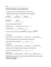 Practice Problems Sex Linked Genes And Genetic Inheritance Course Hero