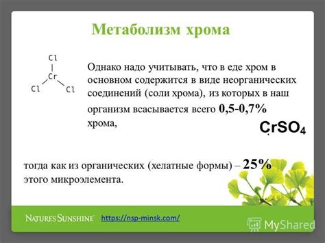 Презентация на тему: "Хром Хелат НСП (Chromium Chelate NSP) - состав ...