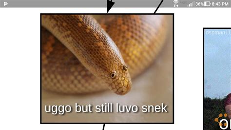 Cute Lil Snek Reyebleach