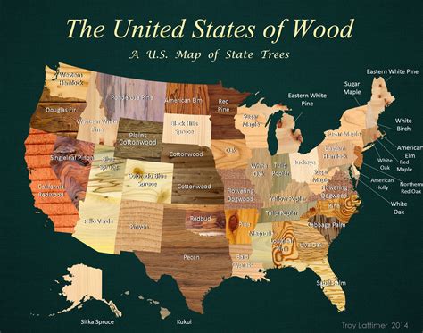 What State Has The Most Oak Trees at Jorja Flores blog