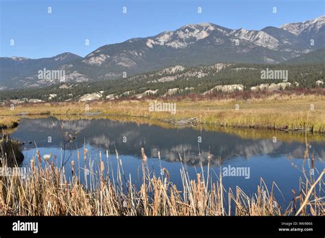 The headwaters of the Columbia River as it meanders through BC's ...