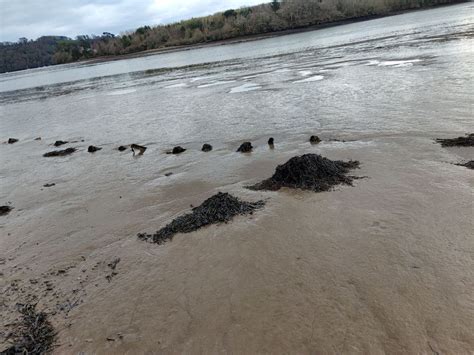 How Best To Stand On Sinking Mud World Sea Fishing Forums