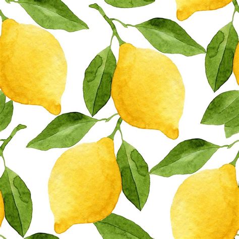 Лимон акварелью (Большое количество фото) - drawpics.ru