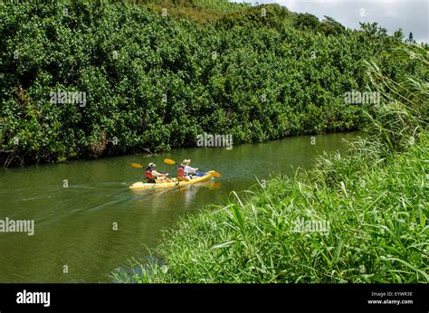 Wailua River Kayaking Hi Res Stock Photography And Images Alamy