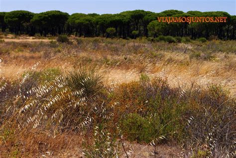 Una Ruta Ideal para la Operación Bikini Viajamosjuntos net