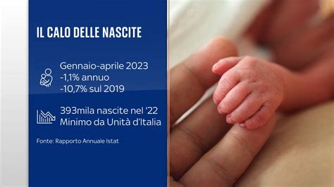 Rapporto Annuale Istat Il Calo Delle Nascite Pesa Sull Economia