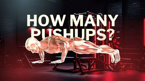 Supercharge Your Gains Learn How Many Push Ups A Day To Build Muscle