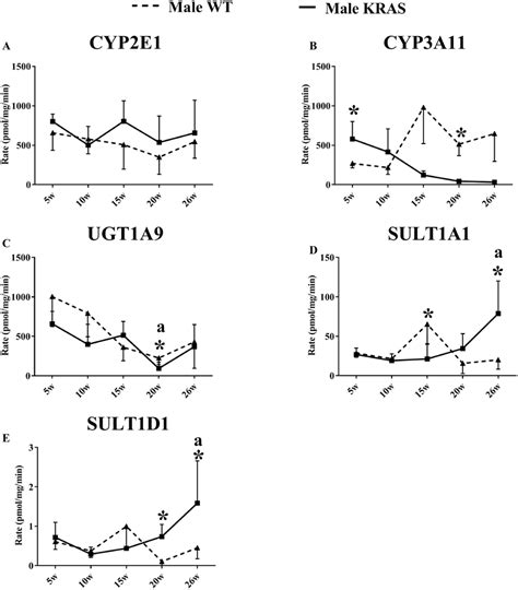 Changes in the enzyme activity of (A) CYP2E1, (B) CYP3A11, (C) UGT1A9 ...