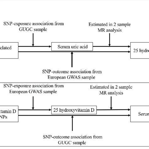 Two-sample bidirectional Mendelian Randomization study of the ...