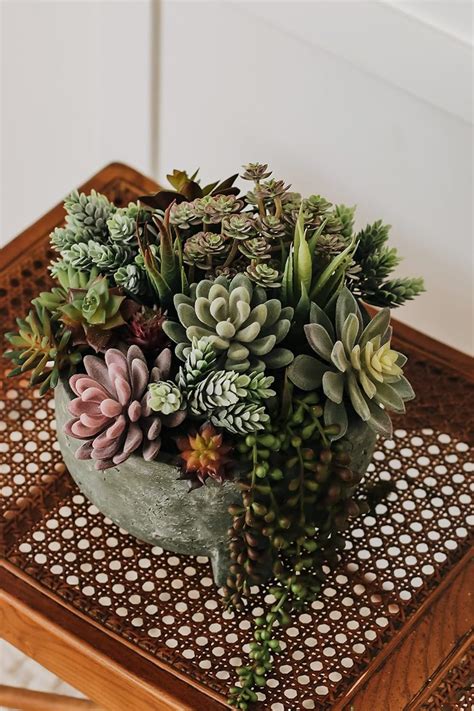 Miltonson Artificial Succulent Plants Review Succulents Symphony