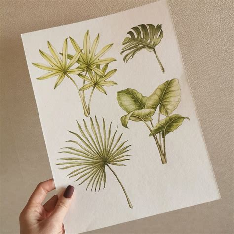 Страницы для альбомов Sisterscrap. Скрапбукинг | ВКонтакте