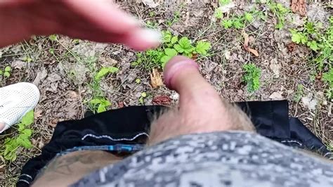A Friend Sucks My Dick In A Public Park And Swallows Cum Blowjob Porn Feat Zona Xhamster