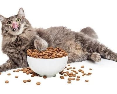 Horny Blond MFC Share