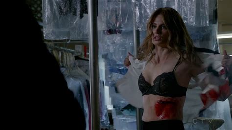 Naked Stana Katic In Castle