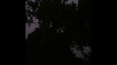 Sultry Summer Night Sex YouTube