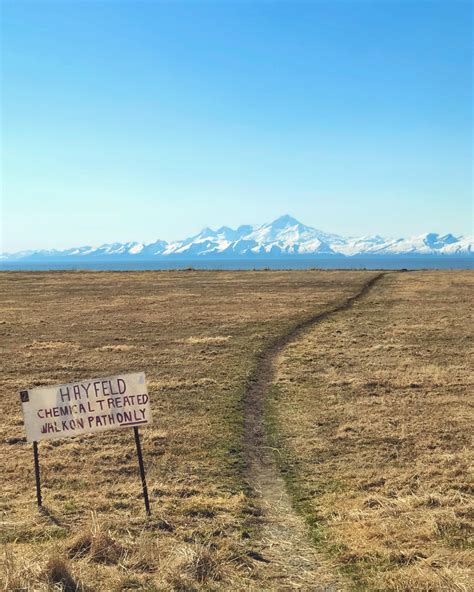 We Passed More Than A Few Paved Paths But This Desire Path Leads To