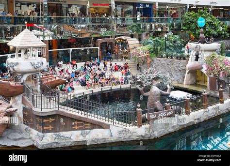 Sea Lions Rock Marine Life Exhibit At West Edmonton Mall Stock Photo