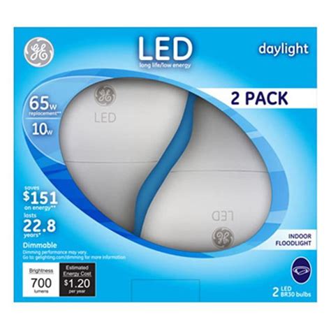 Pro Mart 65 watts R30 Light Bulb - Pack of 2 - Walmart.com