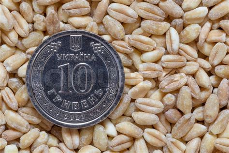 weizen vermarktung samen stock bild colourbox