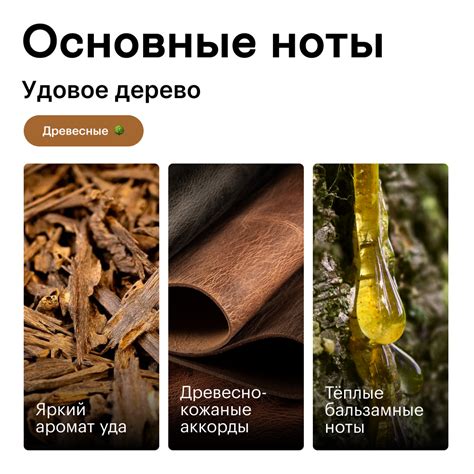 Купить Семпл Удовое дерево 1.5 мл по выгодной цене | Библиотека ароматов