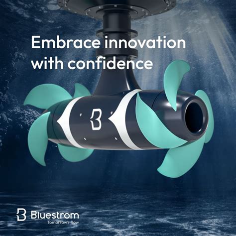 bluestrom  linkedin bluestrom electrification innovation newhorizon