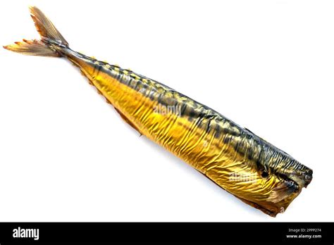 Hot Smoked Mackerel Isolate On White Background Smoked Mackerel Stock Photo Alamy