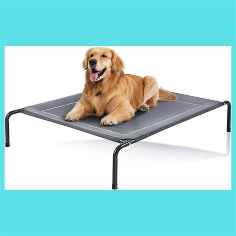 The Best Outdoor Dog Beds To Keep Your Pooch Cozy!