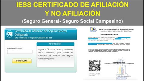 Iess Certificado De Afiliaci N Y No Afiliaci N Seguro General