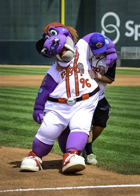 Orlando Lugnuts Baseball at Mark Cortese blog
