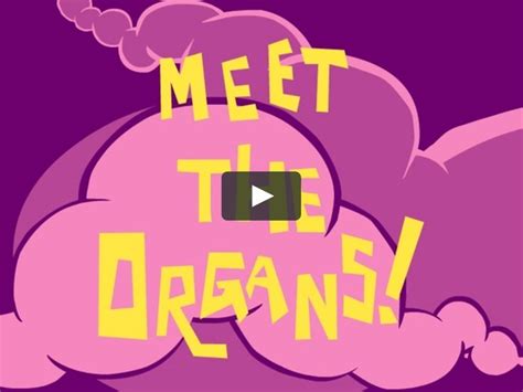 Meet Your Organs In This Madcap Introduction To Your Bodys Innards By