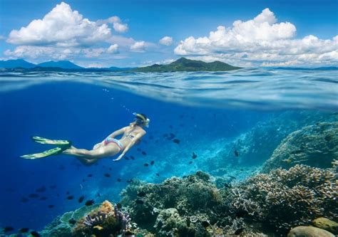 diving spots  indonesia bali raja ampat sulawesi